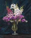 foxgloves and stocks